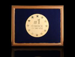 Диплом Choice of the year 